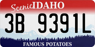 ID license plate 3B9391L