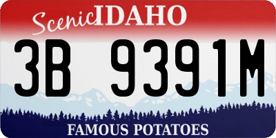 ID license plate 3B9391M