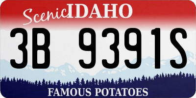 ID license plate 3B9391S