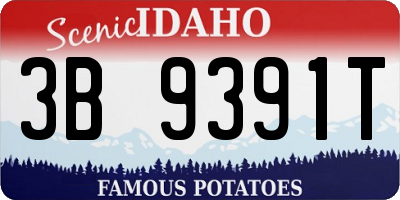 ID license plate 3B9391T