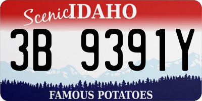 ID license plate 3B9391Y