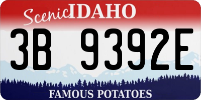 ID license plate 3B9392E