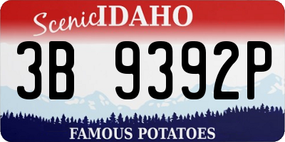 ID license plate 3B9392P
