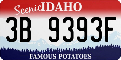 ID license plate 3B9393F