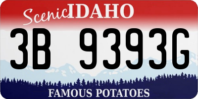 ID license plate 3B9393G
