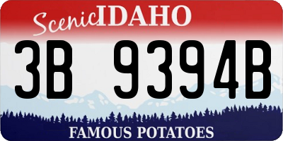 ID license plate 3B9394B