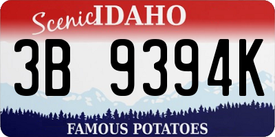 ID license plate 3B9394K