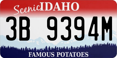 ID license plate 3B9394M