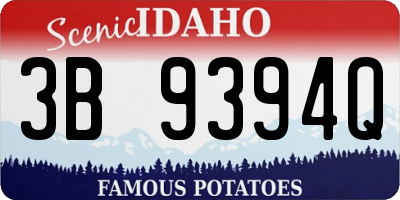 ID license plate 3B9394Q
