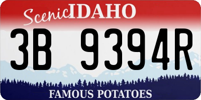 ID license plate 3B9394R