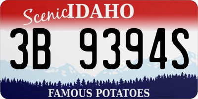 ID license plate 3B9394S