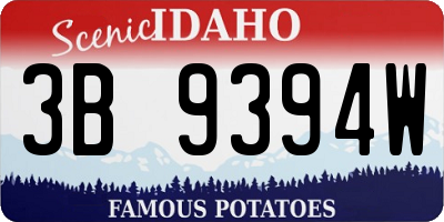 ID license plate 3B9394W