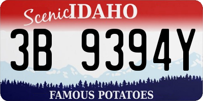 ID license plate 3B9394Y