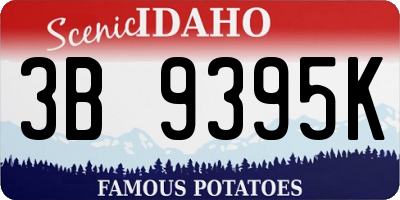 ID license plate 3B9395K