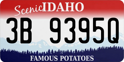 ID license plate 3B9395Q