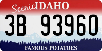 ID license plate 3B9396O