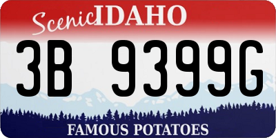 ID license plate 3B9399G