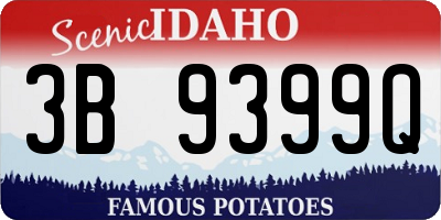ID license plate 3B9399Q