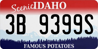 ID license plate 3B9399S