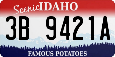 ID license plate 3B9421A