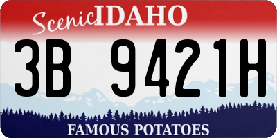 ID license plate 3B9421H