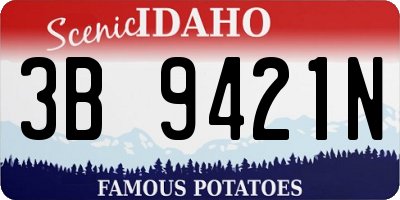 ID license plate 3B9421N