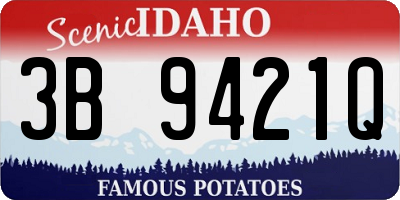 ID license plate 3B9421Q
