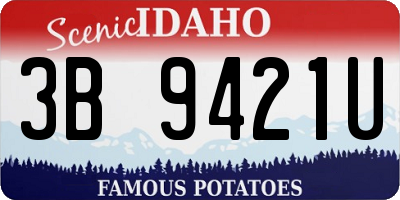 ID license plate 3B9421U