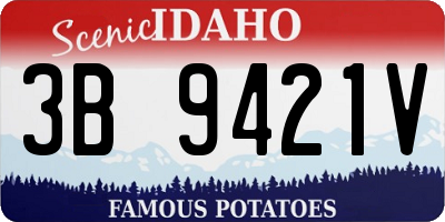 ID license plate 3B9421V