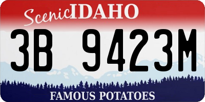 ID license plate 3B9423M