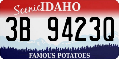 ID license plate 3B9423Q