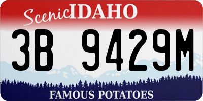 ID license plate 3B9429M
