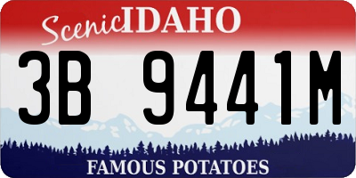ID license plate 3B9441M
