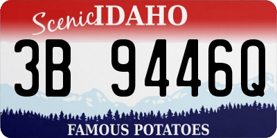 ID license plate 3B9446Q
