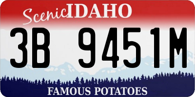 ID license plate 3B9451M