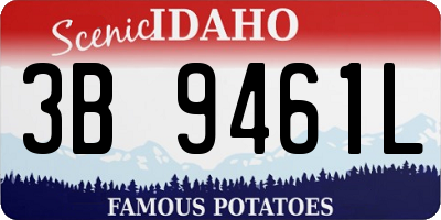 ID license plate 3B9461L