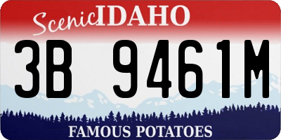 ID license plate 3B9461M