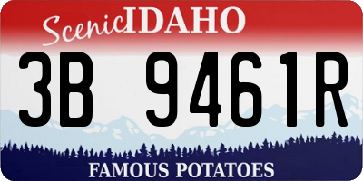 ID license plate 3B9461R