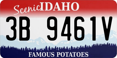 ID license plate 3B9461V