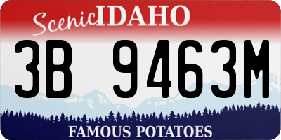 ID license plate 3B9463M