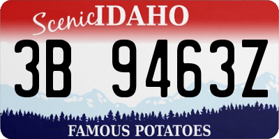 ID license plate 3B9463Z