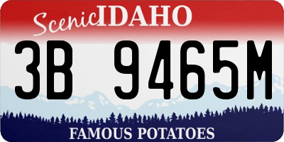 ID license plate 3B9465M
