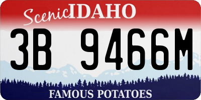 ID license plate 3B9466M