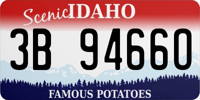ID license plate 3B9466O
