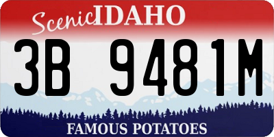 ID license plate 3B9481M