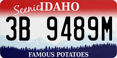 ID license plate 3B9489M