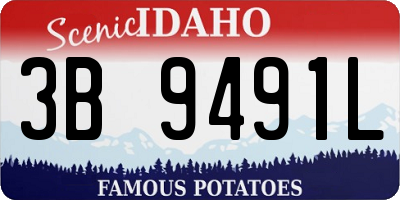 ID license plate 3B9491L