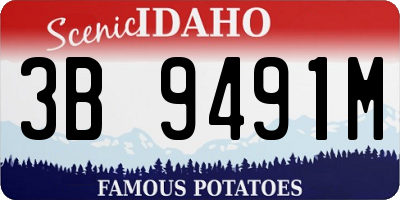 ID license plate 3B9491M