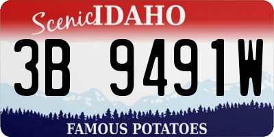 ID license plate 3B9491W