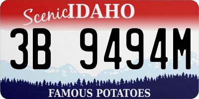 ID license plate 3B9494M